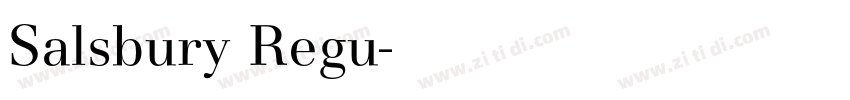 Salsbury Regu字体转换